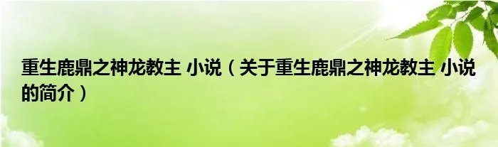 重生鹿鼎之神龙教主 小说（关于重生鹿鼎之神龙教主 小说的简介）