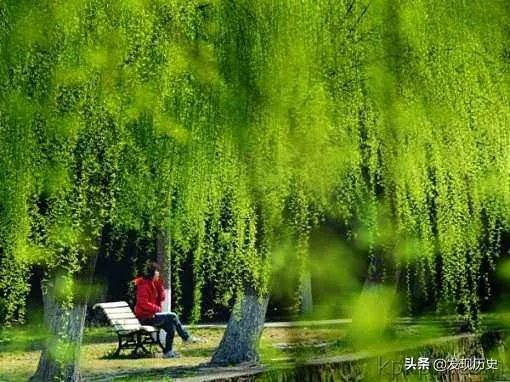 二月二龙抬头有什么美丽诗词?