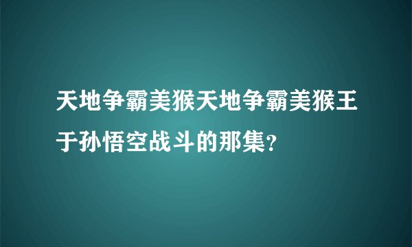 天地争霸美猴天地争霸美猴王于孙悟空战斗的那集？