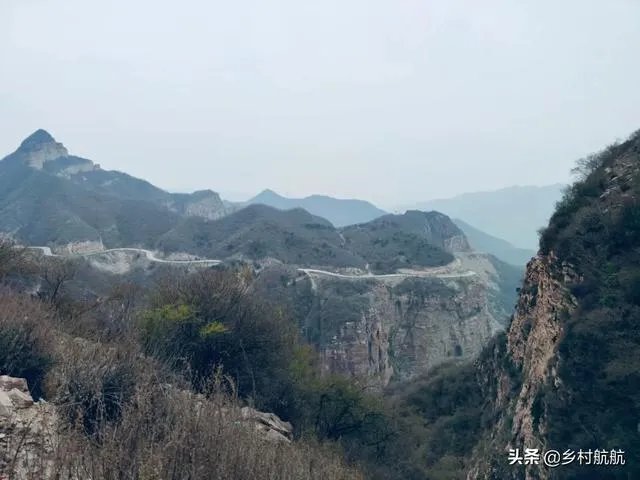 农户在集体荒地上种植竹子,成林后被偷砍且挖掉,能得到赔偿吗?有何依据?