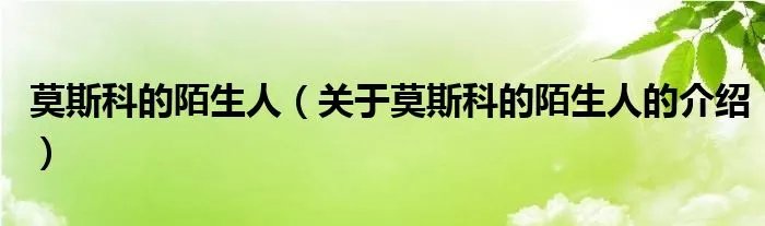 莫斯科的陌生人（关于莫斯科的陌生人的介绍）