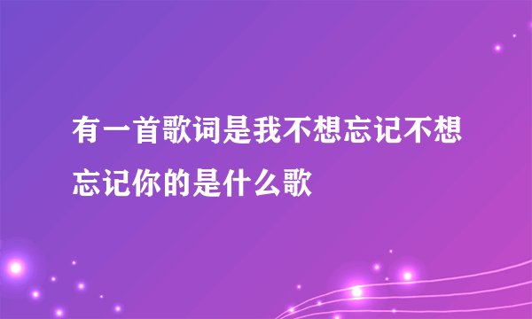 有一首歌词是我不想忘记不想忘记你的是什么歌