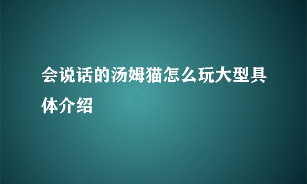 会说话的汤姆猫怎么玩大型具体介绍