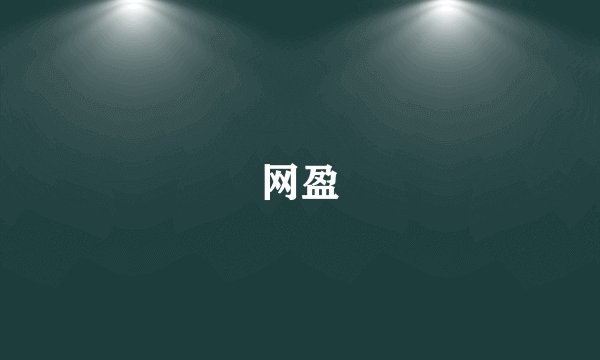网盈