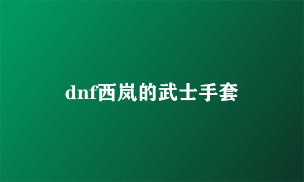 dnf西岚的武士手套