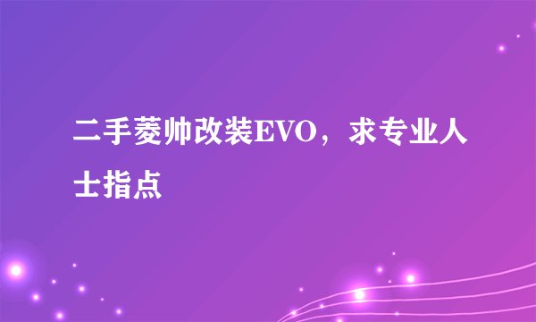 二手菱帅改装EVO，求专业人士指点