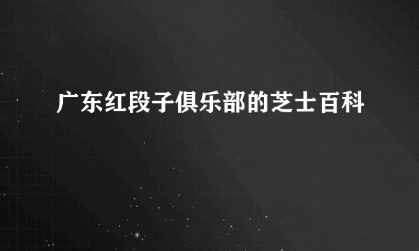 广东红段子俱乐部的芝士百科