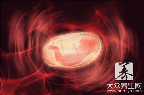 君雀康说明书