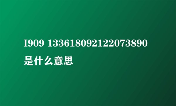 I909 133618092122073890是什么意思