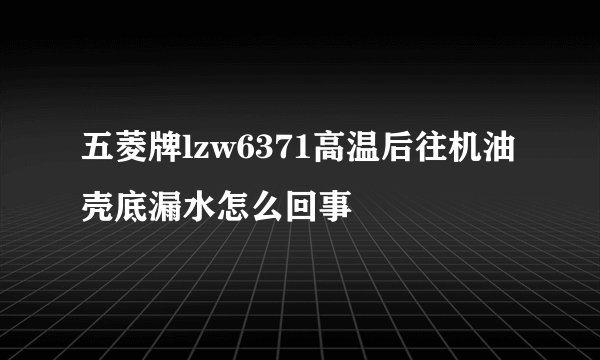 五菱牌lzw6371高温后往机油壳底漏水怎么回事