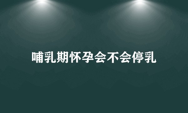 哺乳期怀孕会不会停乳