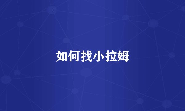 如何找小拉姆