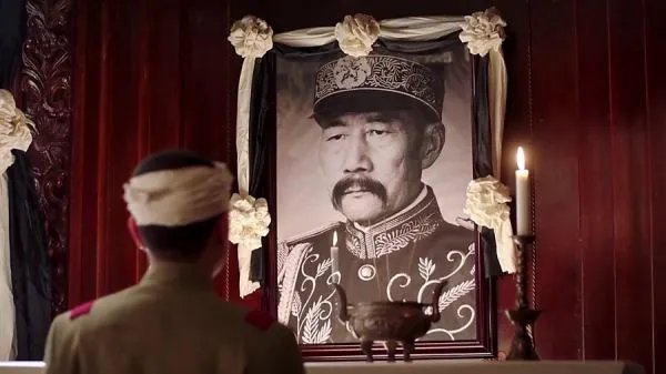 少帅电视剧好看