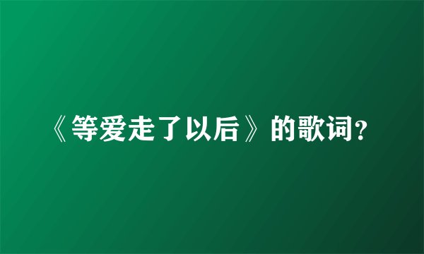 《等爱走了以后》的歌词？