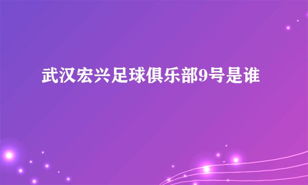 武汉宏兴足球俱乐部9号是谁