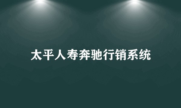 太平人寿奔驰行销系统