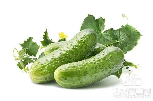一月减肥食谱
