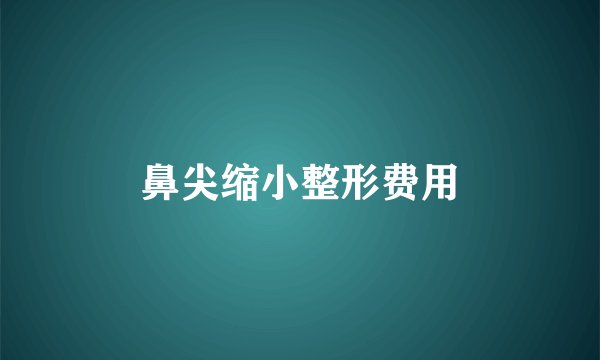 鼻尖缩小整形费用