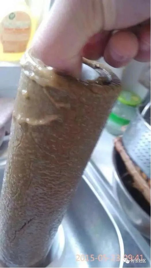 自来水不敢直接喝的举手!