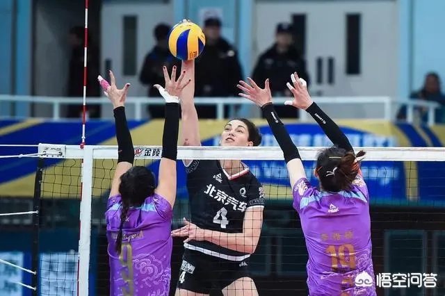 2018-2019女排全明星赛即将开赛,有哪些看点?你期待吗?