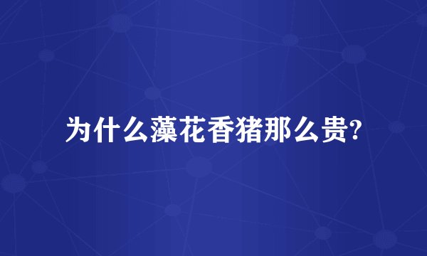 为什么藻花香猪那么贵?