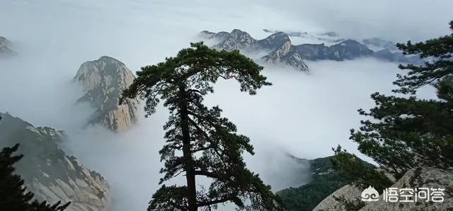 孩子高中被班主任殴打侮辱,但是又不敢得罪老师,只能安抚孩子,怎么办?