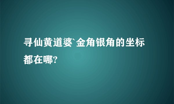 寻仙黄道婆`金角银角的坐标都在哪?