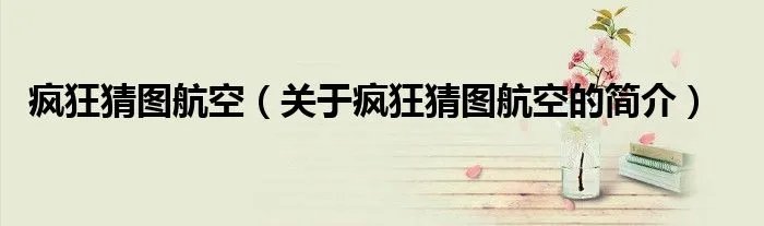 疯狂猜图航空（关于疯狂猜图航空的简介）