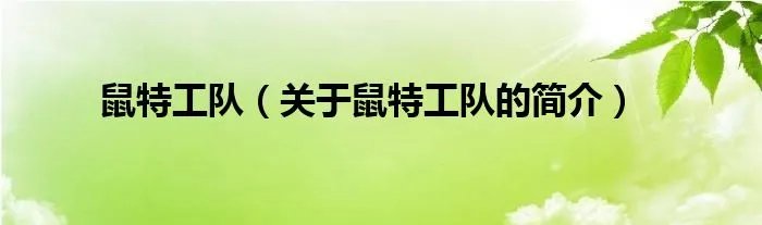 鼠特工队（关于鼠特工队的简介）