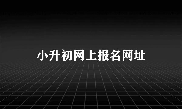 小升初网上报名网址