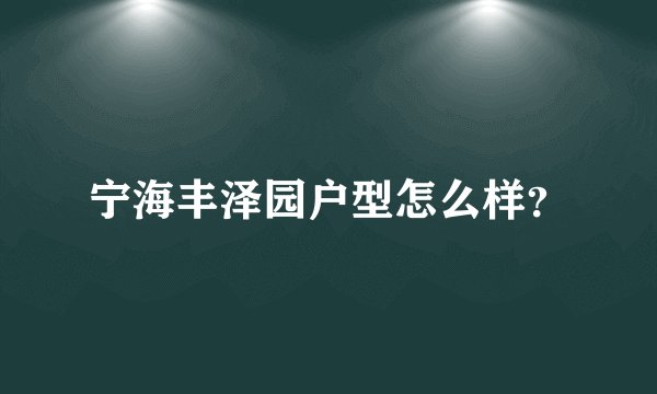 宁海丰泽园户型怎么样?