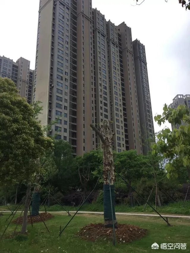 2018年三四线城市房价又涨,是不是要出手买房?