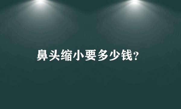 鼻头缩小要多少钱？