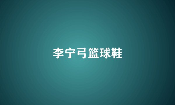 李宁弓篮球鞋