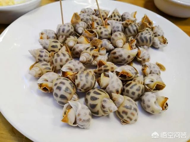 想去厦门自助游,有攻略推荐吗?
