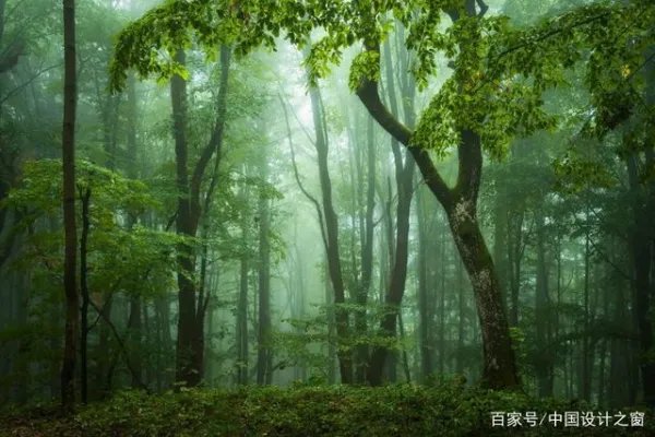 新风系统有什么优点啊,与空气净化器有什么区别啊