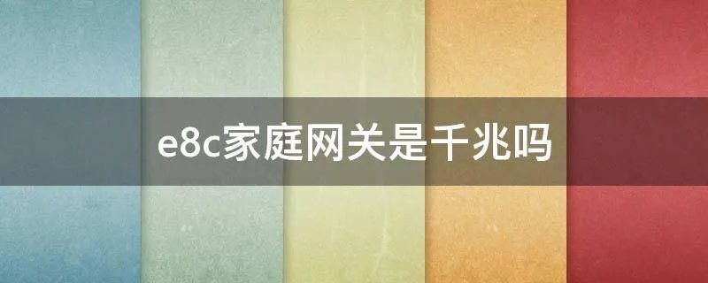 e8c家庭网关是千兆吗