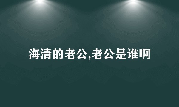 海清的老公,老公是谁啊