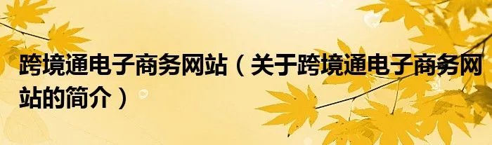 跨境通电子商务网站（关于跨境通电子商务网站的简介）