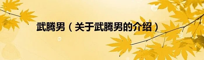 武腾男（关于武腾男的介绍）