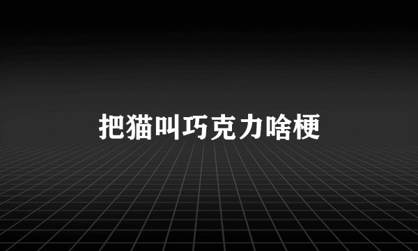 把猫叫巧克力啥梗