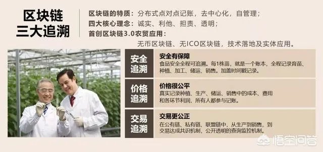 农产品溯源是什么意思?