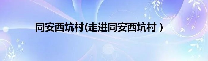 同安西坑村(走进同安西坑村）