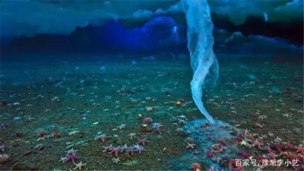 南极的死亡冰柱是什么?为何会杀死很多生物?