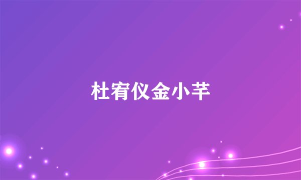 杜宥仪金小芊