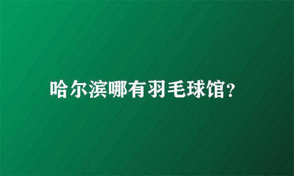 哈尔滨哪有羽毛球馆？