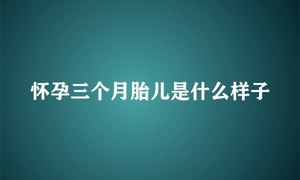 怀孕三个月胎儿是什么样子