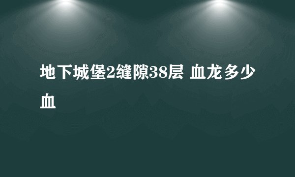 地下城堡2缝隙38层 血龙多少血