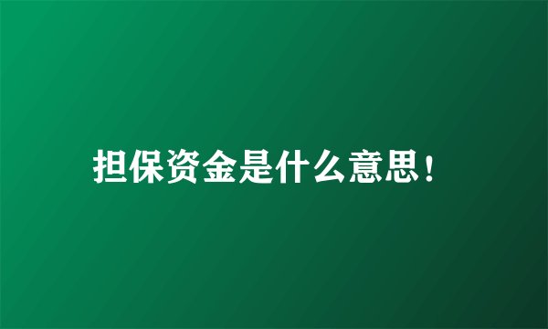 担保资金是什么意思！