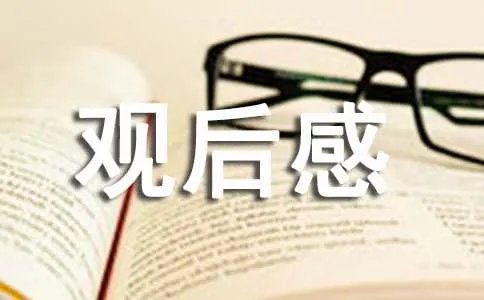 乐乐熊奇幻追踪观后感